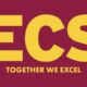 Logo ECS