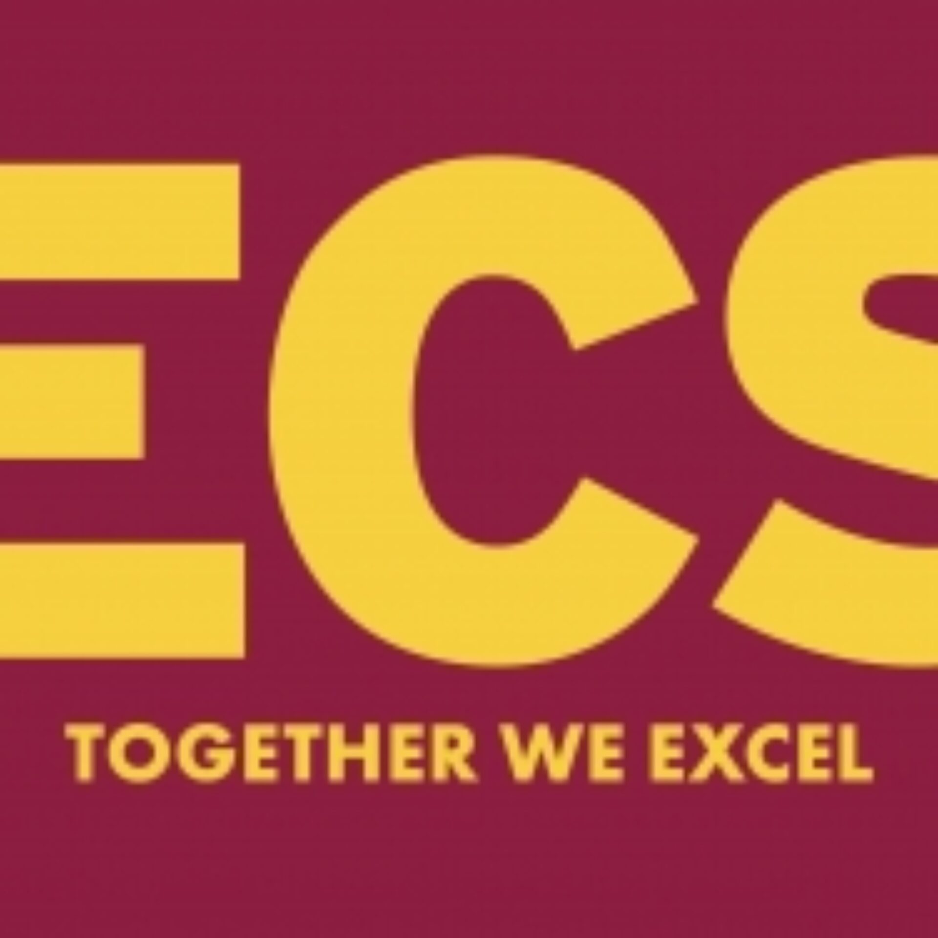 Logo ECS